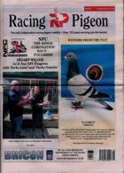 Racing Pigeon Magazine Issue 16/06/2023