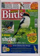 Cage And Aviary Birds Magazine Issue 14/06/2023