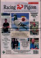 Racing Pigeon Magazine Issue 30/06/2023