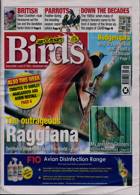 Cage And Aviary Birds Magazine Issue 21/06/2023