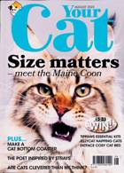 Your Cat Magazine Issue AUG 23