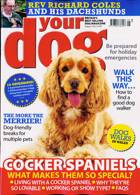 Your Dog Magazine Issue AUG 23