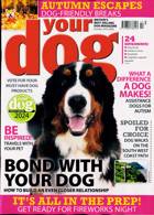 Your Dog Magazine Issue OCT 23