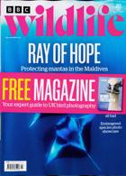 Bbc Wildlife Magazine Issue JUL 23