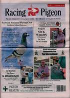 Racing Pigeon Magazine Issue 21/07/2023