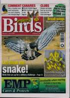Cage And Aviary Birds Magazine Issue 12/07/2023