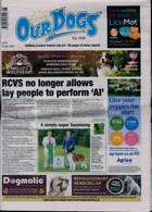Our Dogs Magazine Issue 14/07/2023
