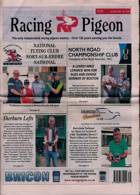 Racing Pigeon Magazine Issue 28/07/2023