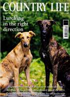 Country Life Magazine Issue 26/07/2023