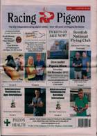Racing Pigeon Magazine Issue 04/08/2023