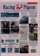 Racing Pigeon Magazine Issue 11/08/2023