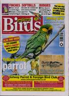 Cage And Aviary Birds Magazine Issue 16/08/2023