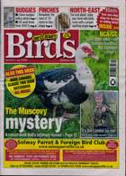 Cage And Aviary Birds Magazine Issue 19/07/2023