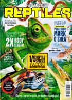 Factology Magazine Issue REPTILES