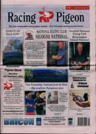 Racing Pigeon Magazine Issue 25/08/2023