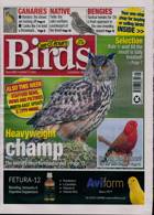 Cage And Aviary Birds Magazine Issue 11/10/2023