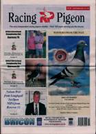 Racing Pigeon Magazine Issue 08/09/2023