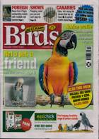 Cage And Aviary Birds Magazine Issue 18/10/2023