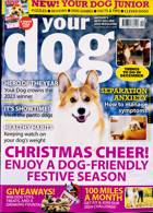 Your Dog Magazine Issue DEC 23