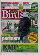 Cage And Aviary Birds Magazine Issue 01/11/2023