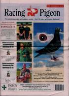 Racing Pigeon Magazine Issue 29/09/2023
