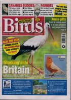 Cage And Aviary Birds Magazine Issue 08/11/2023