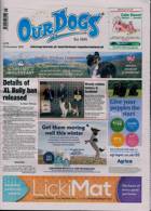 Our Dogs Magazine Issue 10/11/2023