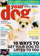 Your Dog Magazine Issue NOV 23