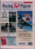 Racing Pigeon Magazine Issue 20/10/2023