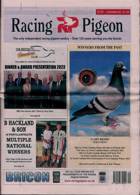 Racing Pigeon Magazine Issue 01/12/2023