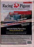 Racing Pigeon Magazine Issue 03/11/2023
