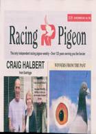 Racing Pigeon Magazine Issue 29/12/2023