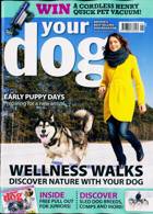 Your Dog Magazine Issue JAN 24