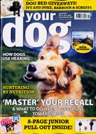 Your Dog Magazine Issue FEB 24