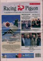 Racing Pigeon Magazine Issue 19/01/2024