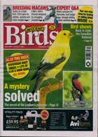 Cage And Aviary Birds Magazine Issue 10/01/2024