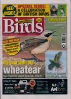 Cage And Aviary Birds Magazine Issue 31/01/2024