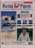 Racing Pigeon Magazine Issue 16/02/2024