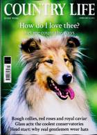Country Life Magazine Issue 14/02/2024