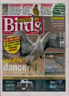Cage And Aviary Birds Magazine Issue 28/02/2024