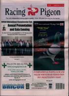 Racing Pigeon Magazine Issue 08/03/2024