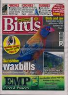 Cage And Aviary Birds Magazine Issue 06/03/2024