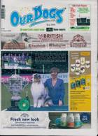 Our Dogs Magazine Issue 15/03/2024