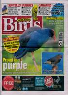 Cage And Aviary Birds Magazine Issue 24/04/2024