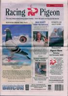 Racing Pigeon Magazine Issue 10/05/2024