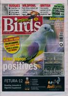 Cage And Aviary Birds Magazine Issue 15/05/2024