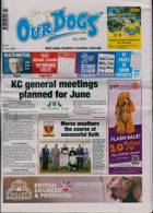 Our Dogs Magazine Issue 31/05/2024