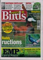 Cage And Aviary Birds Magazine Issue 26/03/2025