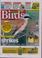 Cage And Aviary Birds Magazine Issue 16/04/2025