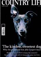Country Life Magazine Issue 23/07/2025